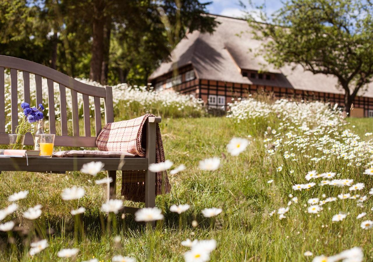 Park am See, HOTEL SPORT SPIRIT Penzlin Exterior foto